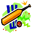 Cricket - Represent The Prince of Wales Pub Weybridge Surrey